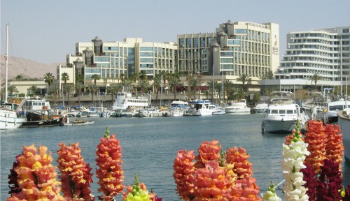 eilat-harbor.jpg